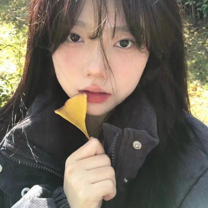 与君行